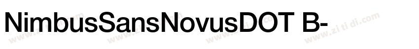 NimbusSansNovusDOT B字体转换